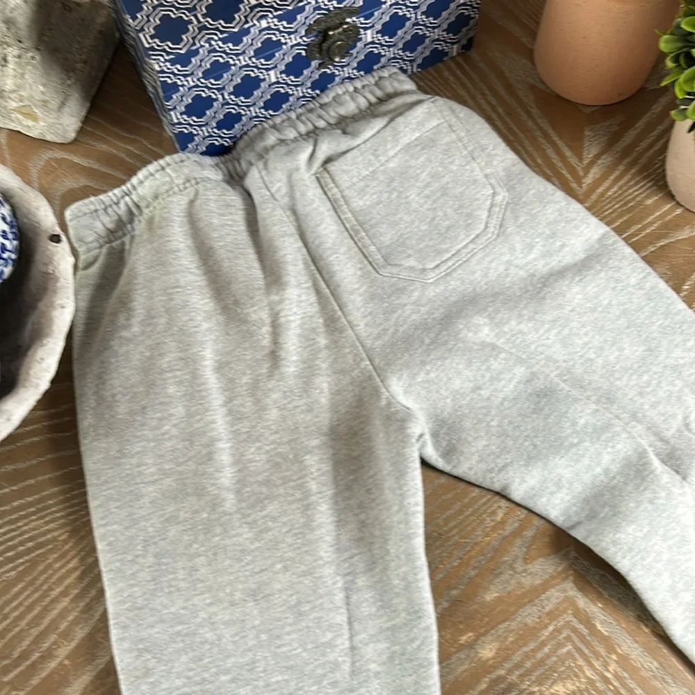 Gymboree Fall Harvest Autumn Pumpkin Jogger Sweatpants & Hoodie Sweatshirt